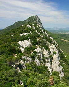 SLe pic Saint-Loup